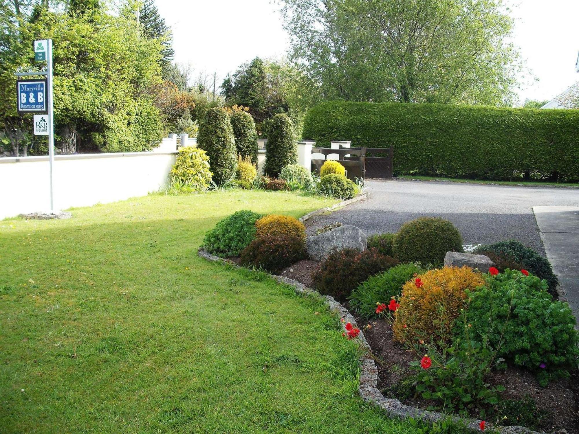 Maryville Bed And Breakfast Nenagh Ngoại thất bức ảnh
